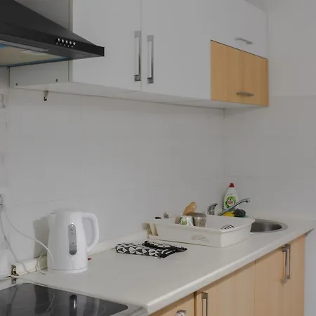 Hrvatin No 5 公寓 塞拉耶佛